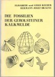 Elisabeth Rieder - Die Fossilien der Gerolsteiner Kalkmulde