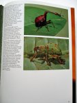 Line, Less - The Audubon Society Book of Insects