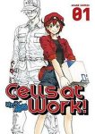 Akane Shimizu - Cells At Work! 1