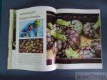 Hageman, Kees en Elisabeth de Lestrieux. - Uit de natuur: groenten. Met verrukkelijke recepten.