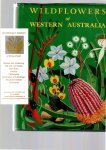 Gardner, C. A. (ed. by H. F. Parkinson) - Wildflowers of western Australia.