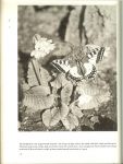 Stanek, V. J. en L.Hugh Newman - World of Nature .. The wonders and beauty of nature in 300 photographs