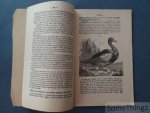 Routillet, François. - L'art d'élever, de multiplier, d'engraisser et de chasser les canards