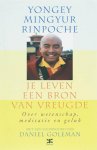 Yongey Mingyur Rinpoche, Eric Swanson - Je Leven Een Bron Van Vreugde