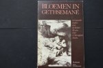 Dr. L.Strengholt - Bloemen in Gethsemane