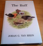 Rhijn, Johan G van - The Ruff - Kemphaan