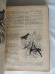 Brehm, A.E. (voor Nederland bewerkt door S.P. Huizinga) - Het leven der dieren - Deel 1: De zoogdieren. - Deel 2: De vogels. - Deel 3: Kruipende dieren - visschen - insecten - lagere dieren.