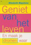 Elizabeth Mapstone, Willem Hurkmans - Geniet van het leven en maak je dromen waar en maak je dromen waar