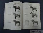 Lenaerts, Jules en Lenaerts, Wilfried. - Van werkpaard tot wereldpaard: de geschiedenis van de Genkse 'Lustige Dravers' van 1949 tot 1979.