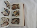 HOLLOM,P.A.D. - THE POPULAR HANDBOOK OF BRITISH BIRDS