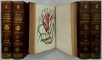 Charles Morren 23566 - Annales de la Société Royale d'Agriculture et de Botanique de Gand [5 volumes, all published] Journal d'Horticulture et des Sciences Accessoires