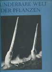 Postma, C. - Wunderbare Welt der Pflanzen. Formen und Strukturen der Blütenpflanzen.