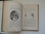 Horn, D. en Gast jz., S. de - Beginselen der dierkunde ten dienste van aanstaande onderwijzers, H.B.S. met 3 j.c. en de onderste klassen van H.B.S. 5 j.c. en gymnasia. Met 196 figuren en eene gekleurde plaat