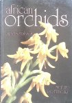 Pottinger, Mollie - African Orchids: A Personal View