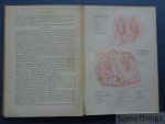 L. S. Meijer. - Het menschelijk lichaam, naar Freys Atlas der Anatomie des Menschen. Met 29 platen in kleurendruk en 70 afbeeldingen in de tekst.