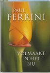 Paul Ferrini - Volmaakt in het nu Paul Ferrini - Volmaakt in het nu