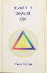 Hattink, Hans - Inzicht in bewust zijn; de mens als drie-eenheid
