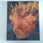 Grimaldi, David A. - Amber ; Window to the Past