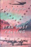 Rayner, Jay - Star Dust Falling: The Story of the Plane That Vanished