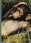  - Introducing Apes & Monkeys