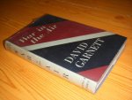 David Garnett - War in the air - September 1939 to May 1941