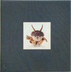 Neel Korteweg - Atlantis Zoo - Uit de diepte van de zee duiken nieuwe dieren op