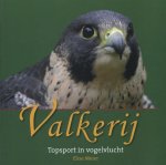 N.v.t., Elise Meier - Volkscultuur en Immaterieel Erfgoed 3 -   Valkerij