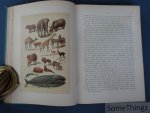 Hermann Wagner  en D. Horn (vertaling). - De natuurlijke historie : naar den vierden druk van "Wagner's Illustrierte Naturgeschichte". Met 306 gekleurde afbeeldingen naar aquarellen van W. Hoffmann en 282 houtgravures.