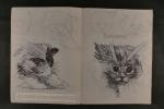 Foster, Walter - How to draw cats (8 foto's)