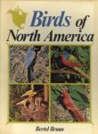 BRUUN, BERTEL - Birds of North America