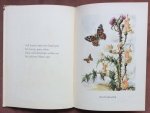 Lippmann-Pawlowski, Mila (Bilder) and Köhler, Anny (Text) - Schmetterlingszauber; wer gerne Falter und Blumen schaut, dem sei dies Büchlein anvertraut