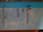 chogyam Trungpa - meditatie in actie