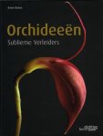 RONSE, ANNE. - Orchideeën. Sublieme verleiders.