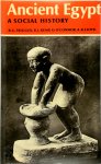 B. G. Trigger - Ancient Egypt A Social History