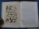 Hermann Wagner  en D. Horn (vertaling). - De natuurlijke historie : naar den vierden druk van "Wagner's Illustrierte Naturgeschichte". Met 306 gekleurde afbeeldingen naar aquarellen van W. Hoffmann en 282 houtgravures.