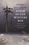 Gerrit Jan Zwier - Boom in een winters bos