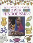 A. Ganeri - Wat weten we over hindoeisme?