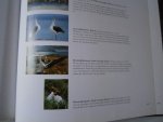 Lanting, Frans, Christine Eckstrom - Oog in oog