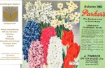  - Nursery catalogue J. Parker in Manchester, specialized in Dutch bulbs autumn 1962