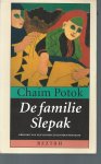 potok, chaim - het boek van het licht