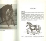 Tack E.S....Foto's hele mooie : Egbert van Zon en ook mooie tekeningen - Longeren zonder poespas en Monsteren in beeld...Overzicht van een methode voor het longeren van rijpaarden, afgetsemd op het hippische beroepsonderwijs in Nederland