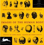 Pepin van Roojen 232059 - Images of the human body