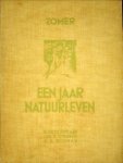 STOPPELAAR, R.J. DE / STRIJBOS, JAN P / WIGMAN, A.B - Een jaar natuurleven. Zomer