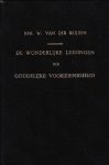 Reijden, Joh. W. van der - Reijden, Joh. W. van der-De Wonderlijke Leidingen der Goddelijke Voorzienigheid