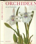 Oplt. J en  Jirina  Kaplicka - Orchideen mit  56 Farbtafeln .. Das farbige buch de Orchideen