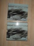 Kostyal, K.M. - Grote dierentrek - Great Migrations