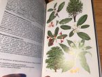 Humphries, Press, Sutton - Elseviers Nieuwe Bomengids