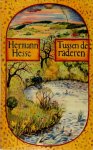 Hermann Hesse 12631 - Tussen de raderen
