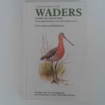 Colston, Peter ; Philip Burton - A Field Guide to the Waders of Britain and Europe ; With North Africa and the Middle east