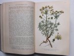 Dammann, Carl. - Die Gesundheitspflege der landwirtschaftlichen Haussäugetiere. Praktisches Handbuch. Dammann, Carl. - Die Gesundheitspflege der landwirtschaftlichen Haussäugetiere. Praktisches Handbuch.